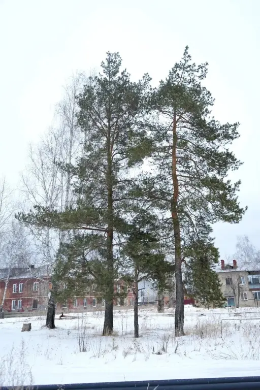 2-х комн квартира по ул. Победы, 51