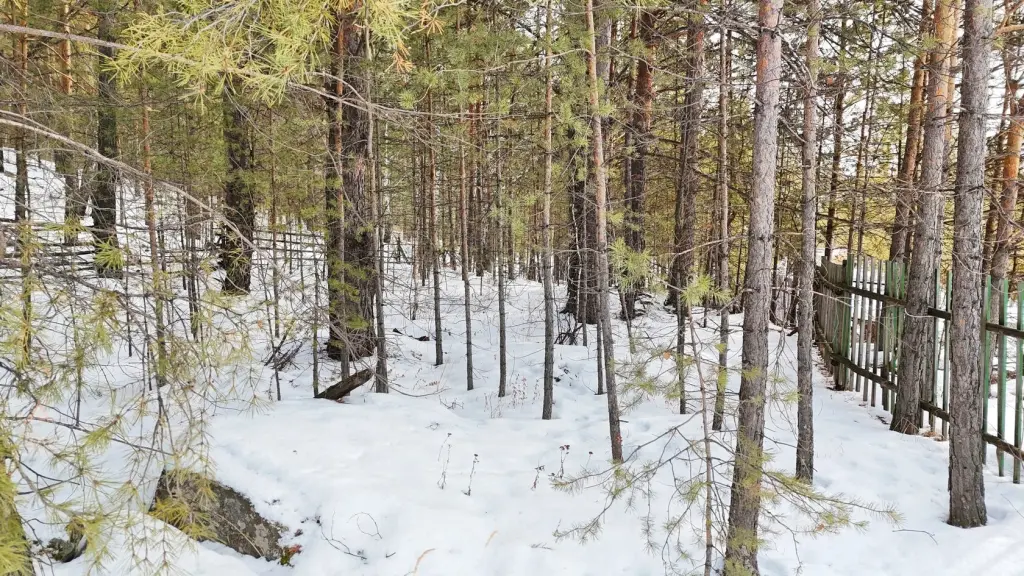 Земельный участок, п. Каменушка