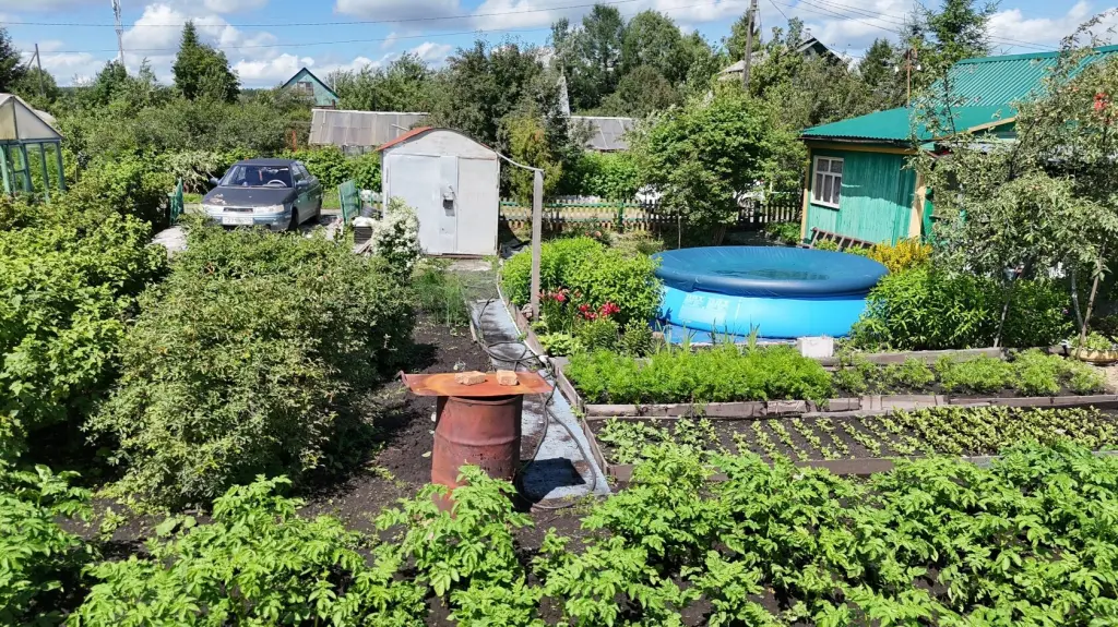 Сад, СНТ Виктория