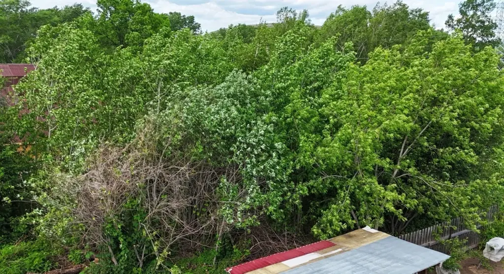 Земельный участок, ул. Дзержинского, 114