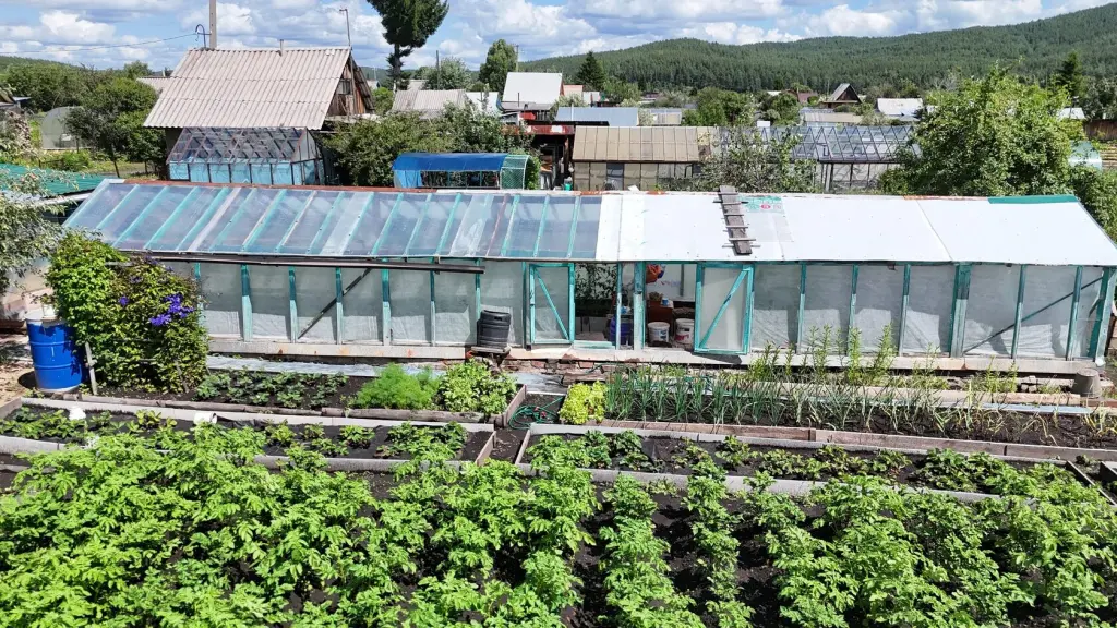 Сад, СНТ Виктория