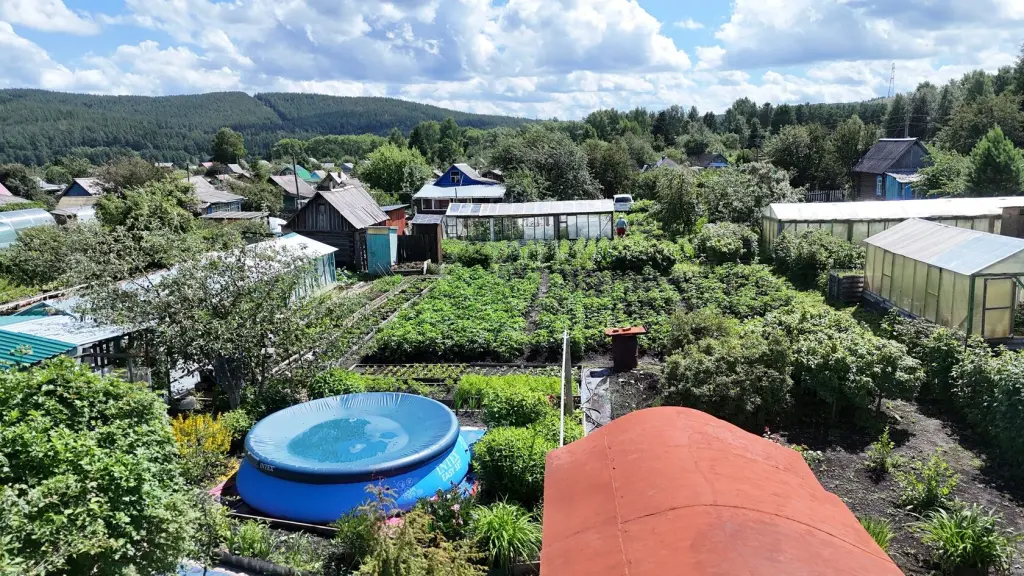 Сад, СНТ Виктория