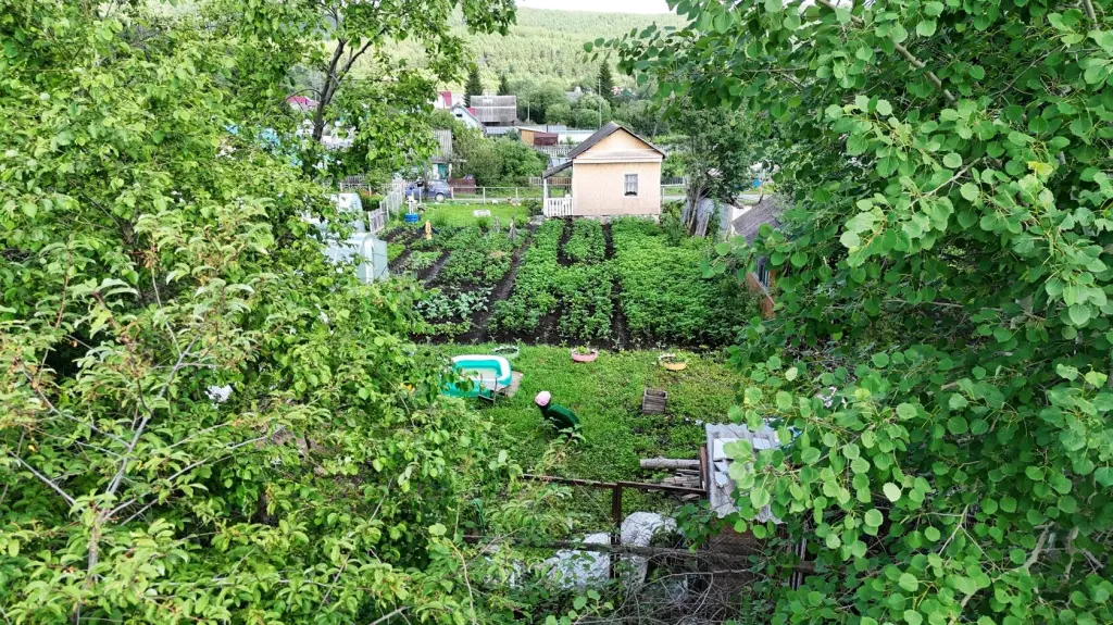 Сад, СНТ Солнечный