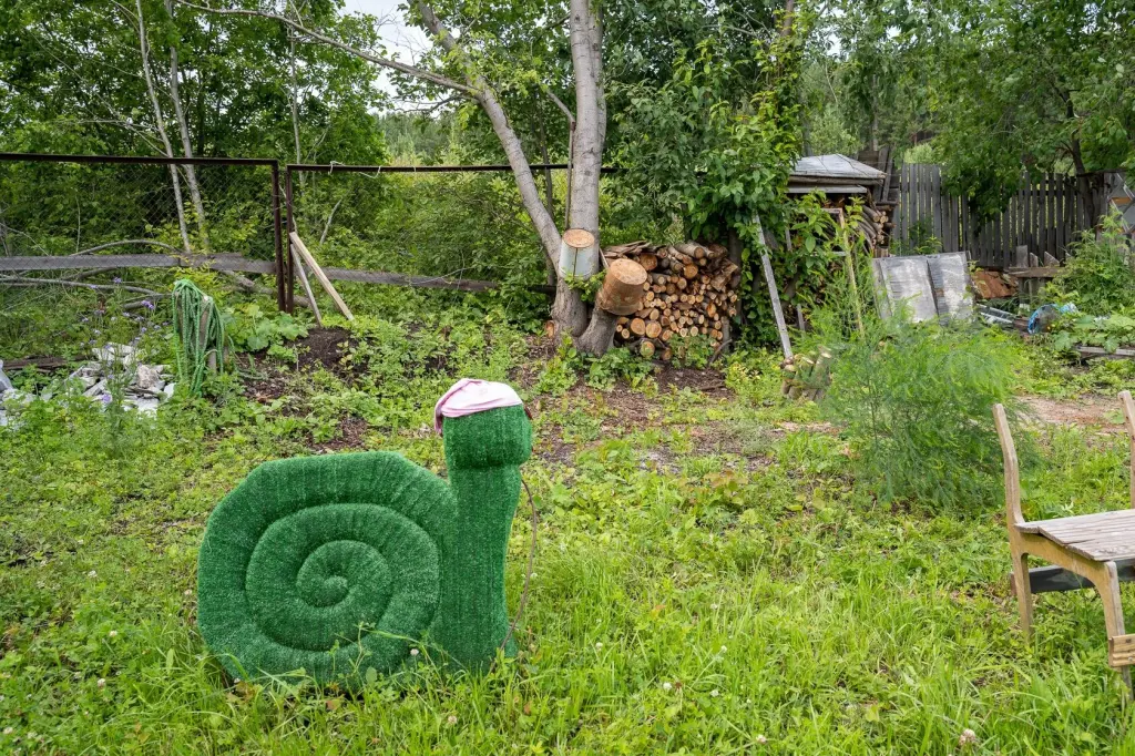 Сад, СНТ Солнечный