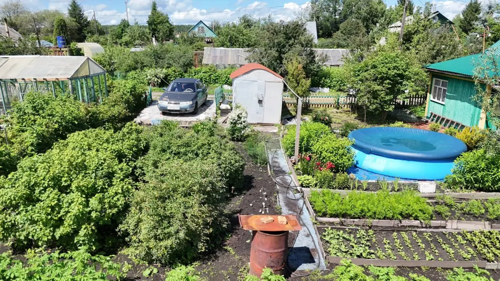 Сад, СНТ Виктория