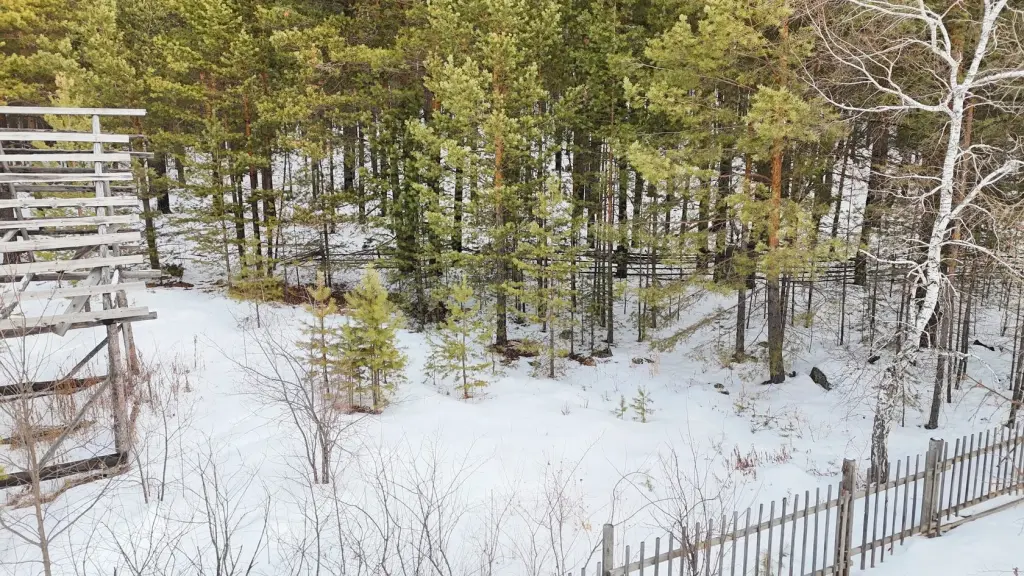 Земельный участок, п. Каменушка