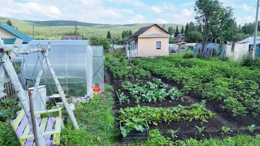 Сад, СНТ Солнечный