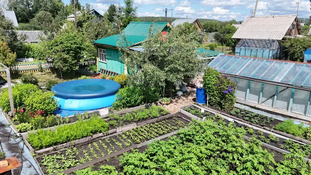 Сад, СНТ Виктория