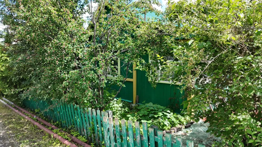 Сад, СНТ Виктория