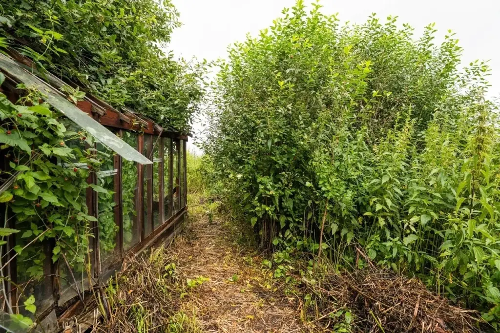 Дом, ул. Красная