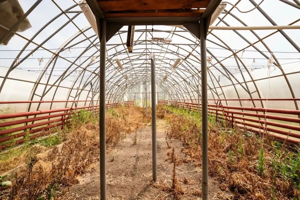 Овощная оранжерея (п. Уфимка)