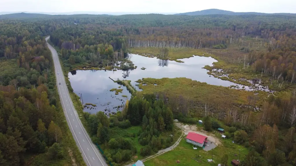 Земельный участок, п. Сельки